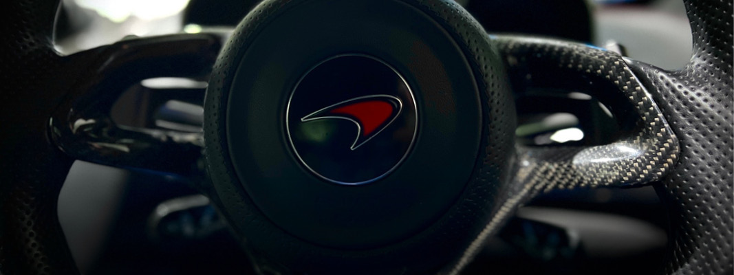 McLaren Security and Protection specialist